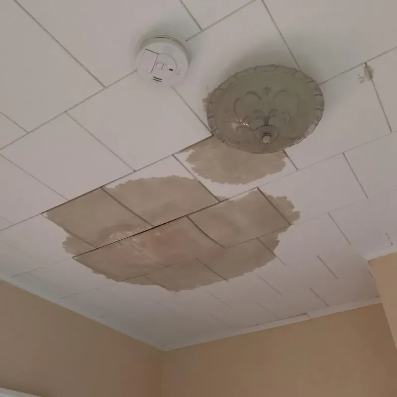 Ceiling Water Damage Repair in Mountain Iron, MN