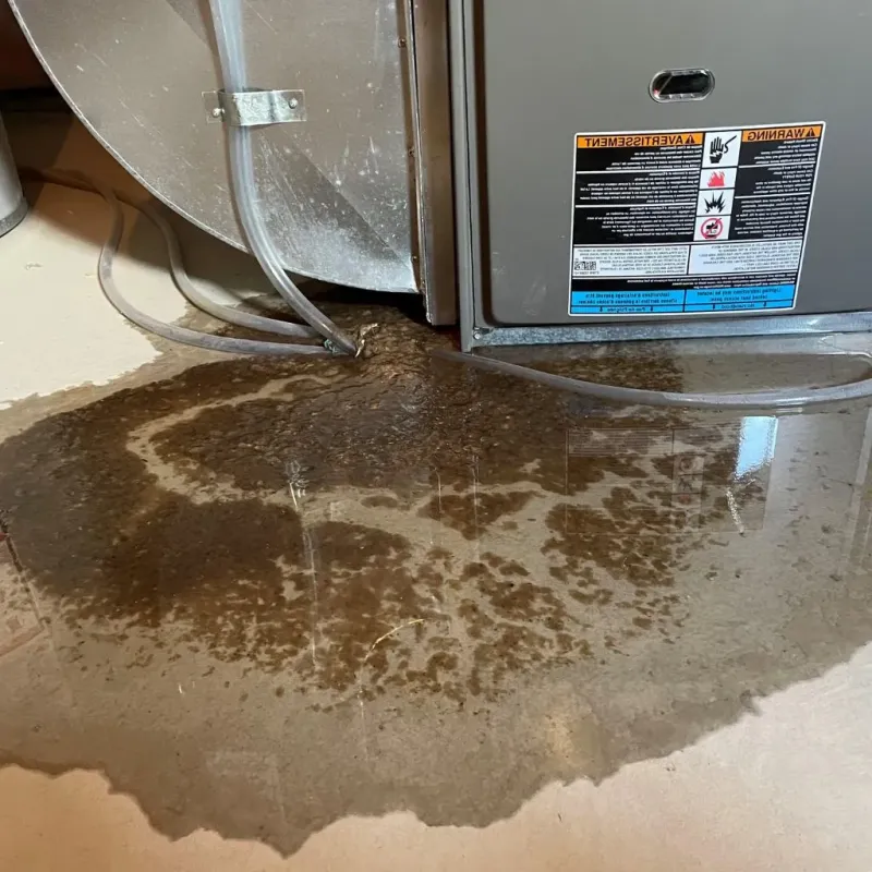 Pipe Burst and Leak Restoration in Mountain Iron, MN