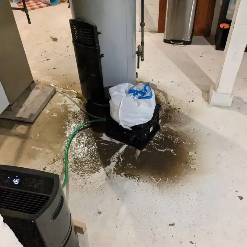 Sewage Backup Cleanup Service in Mountain Iron, MN